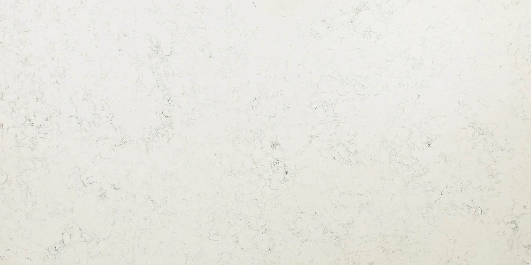 Polar White